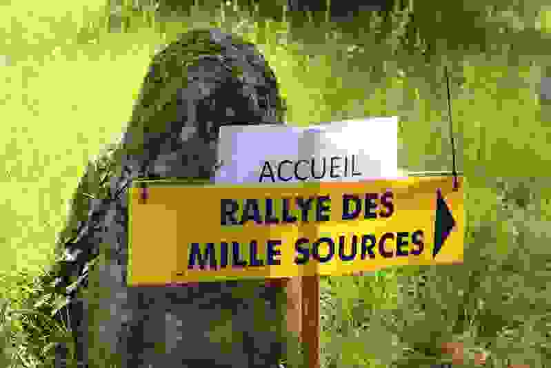 Rallye des Mille sources historique