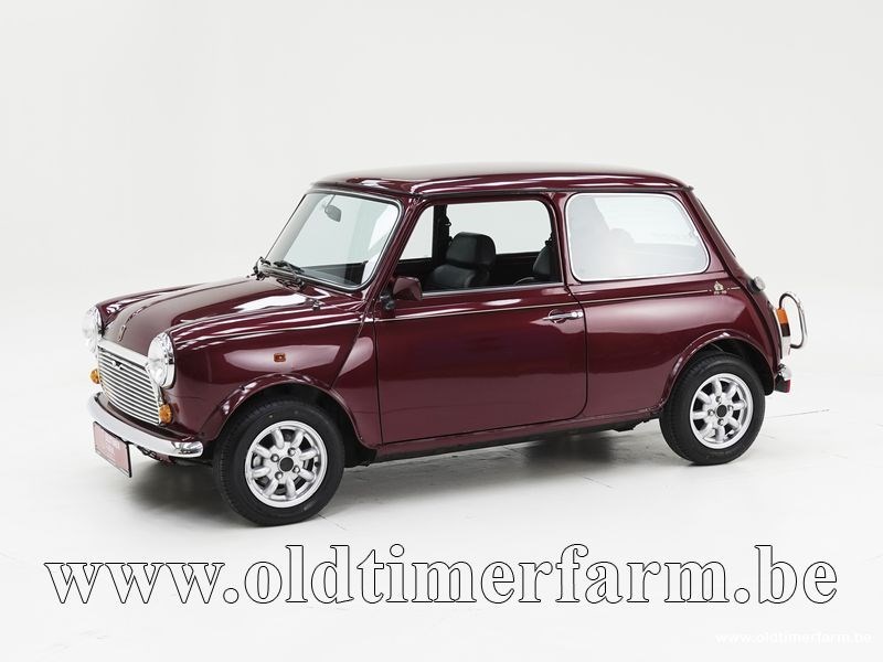 Mini All Models 1989