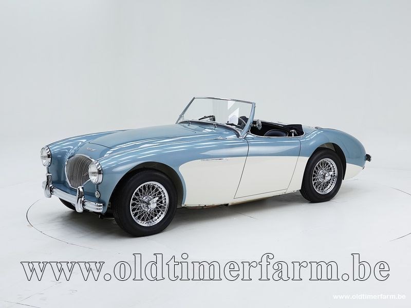 Austin Healey 100 1954